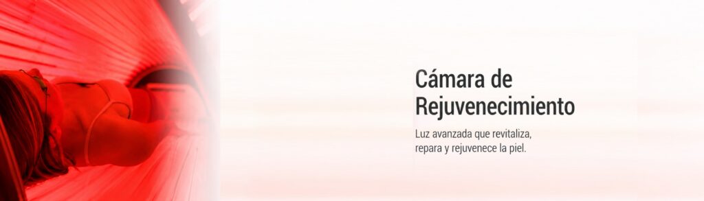 banners internos camara banners internos camara